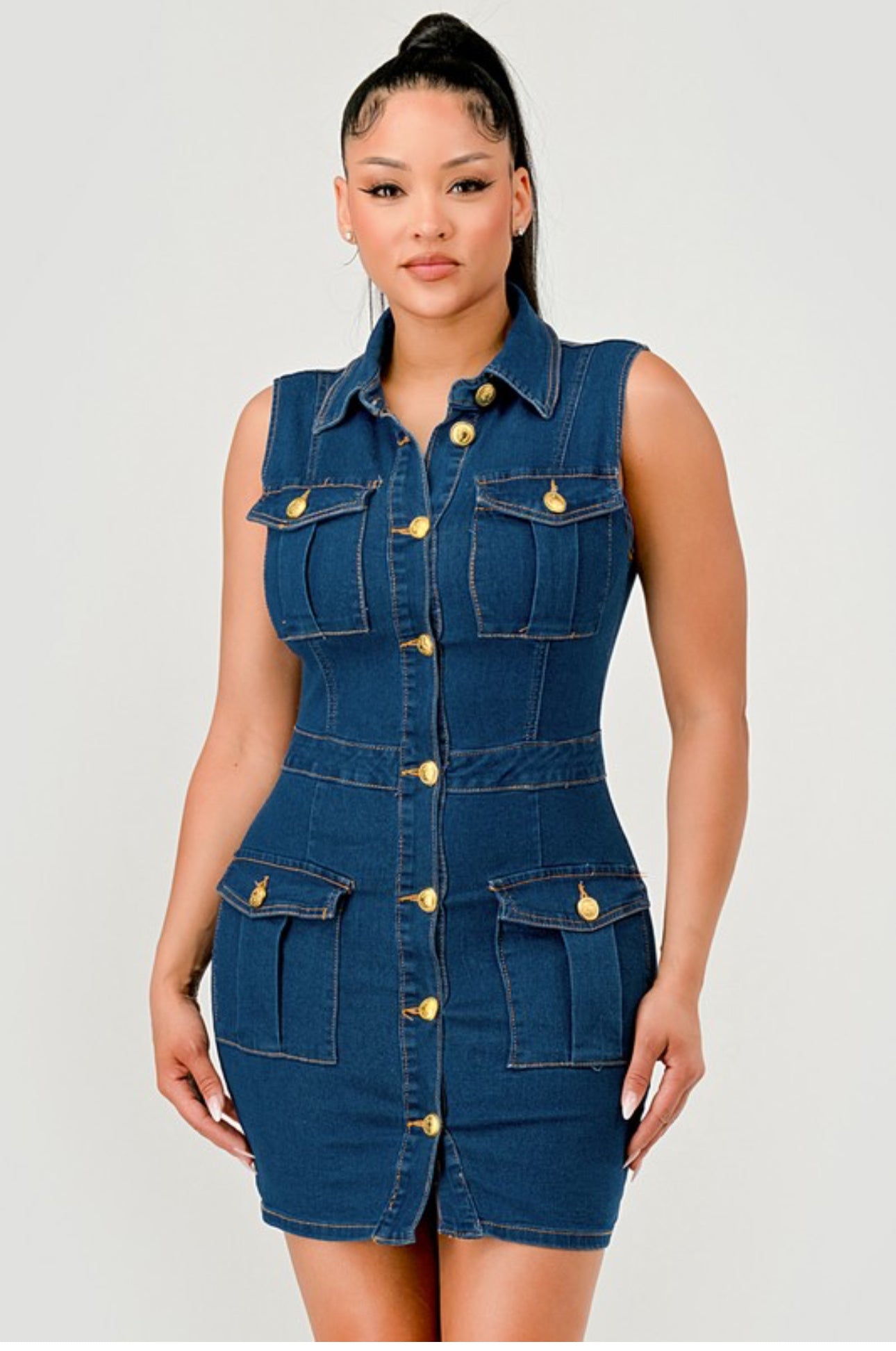 Joanna Denim Dress