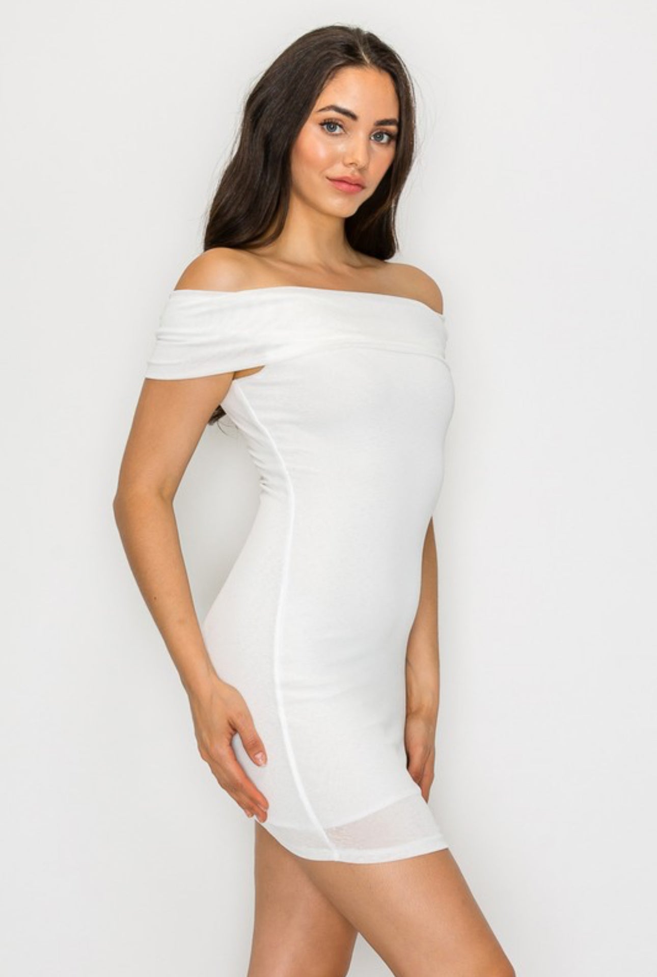 Lariossa Mini Dress