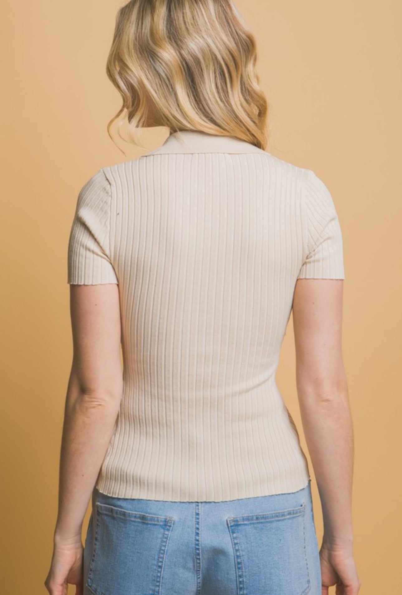 Winter Blouse