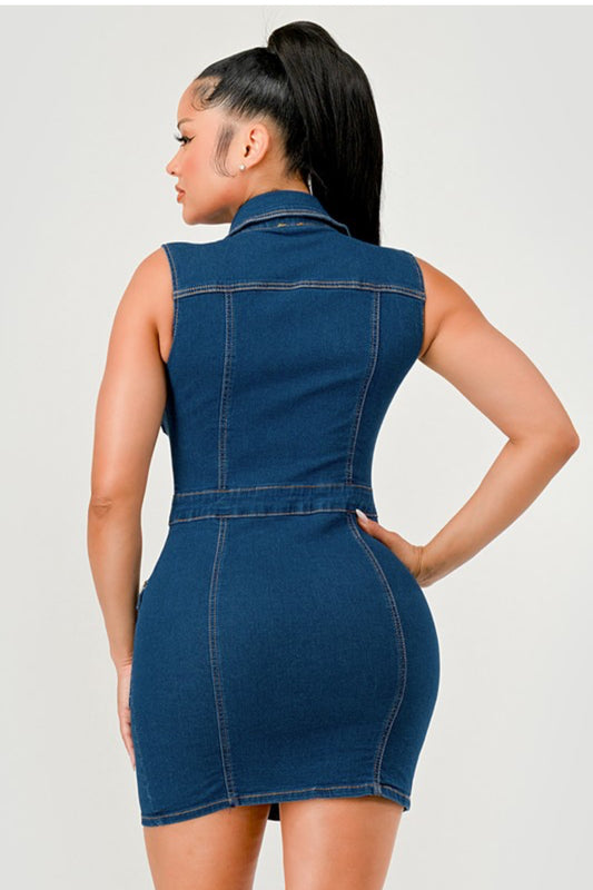 Joanna Denim Dress